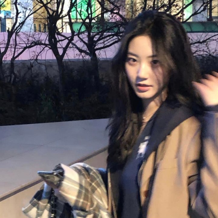 风临樱花开